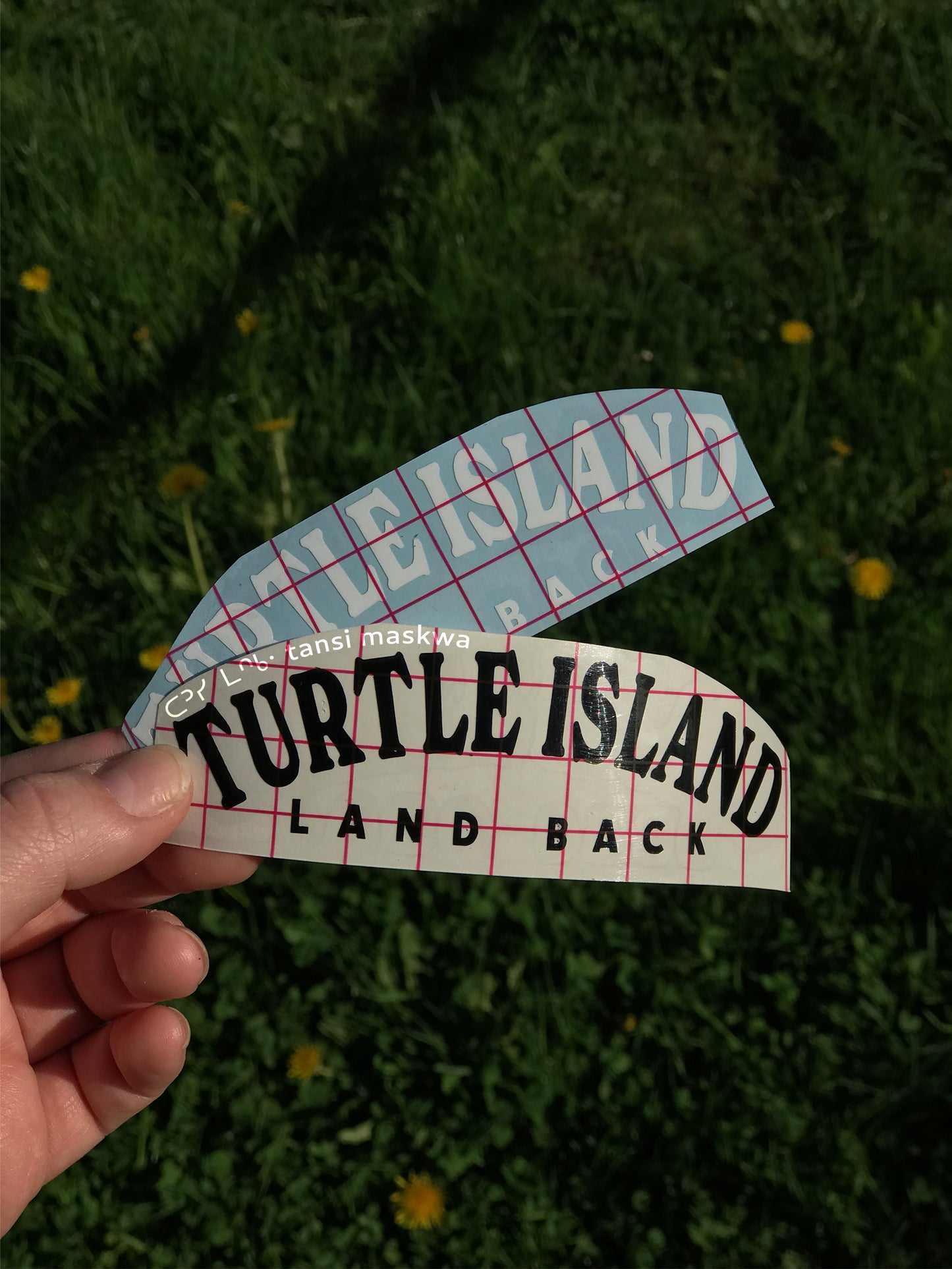 Turtle Island Land Back · Sticker